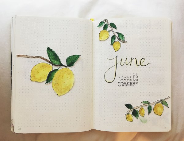 Ежедневник лето