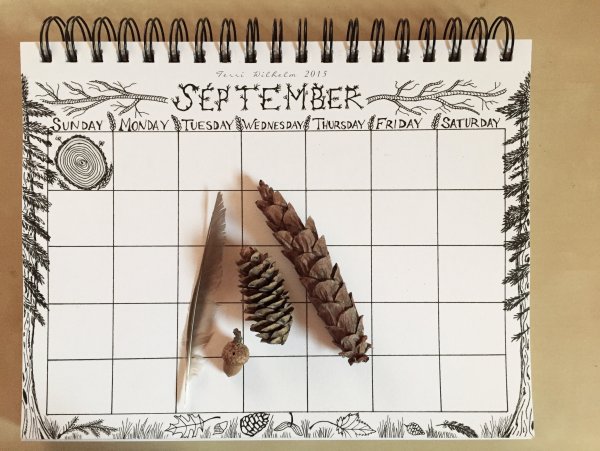 Идеи для скетчбука месяца