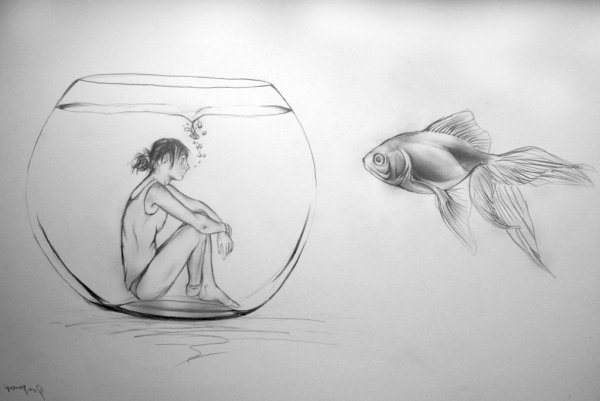 Рисунки карандашом