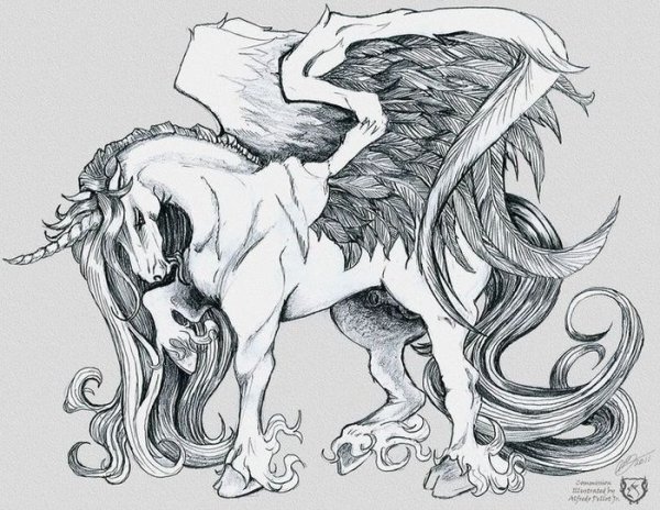 Мифические животные скетчи