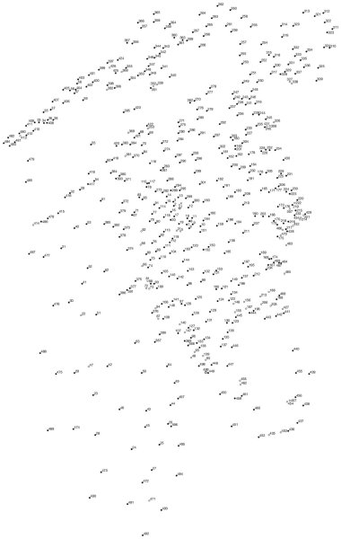 Рисование по цифрам сложные