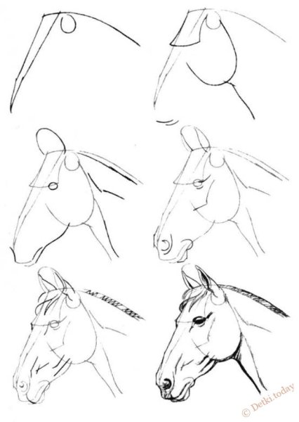 Рисованная лошадь сбоку для начинающих