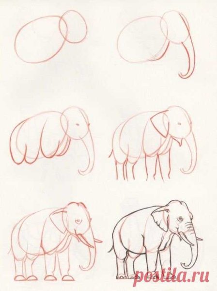Животные рисунки карандашом поэтапно