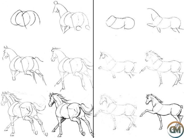 Поэтапное рисование коня