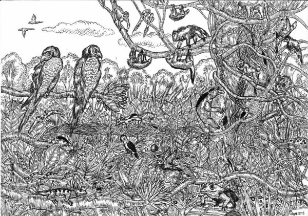 Душан Кртолица