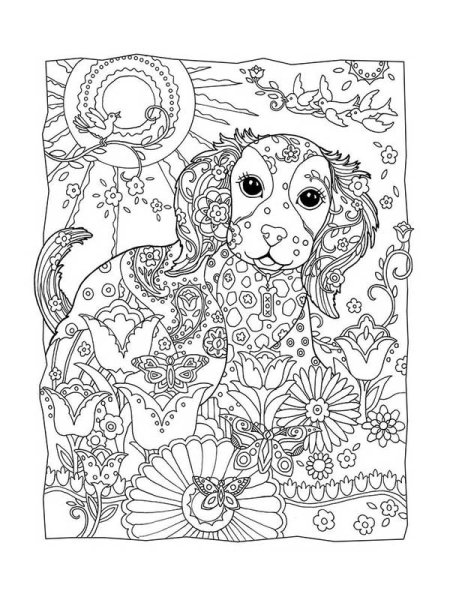 Раскраска антистресс