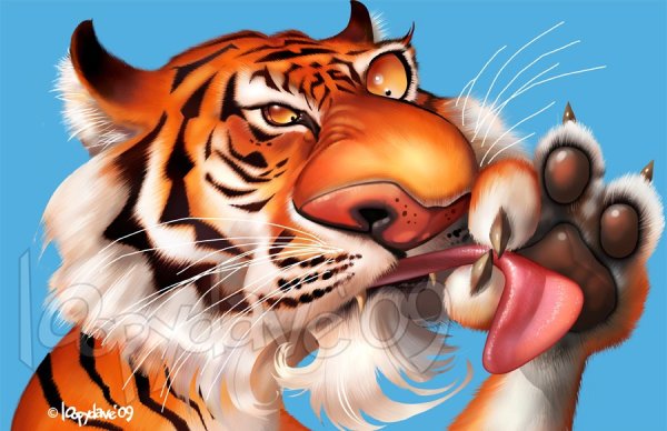 Тигр прикольная иллюстрация