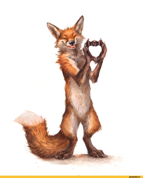 Фурри арт kenket Fox