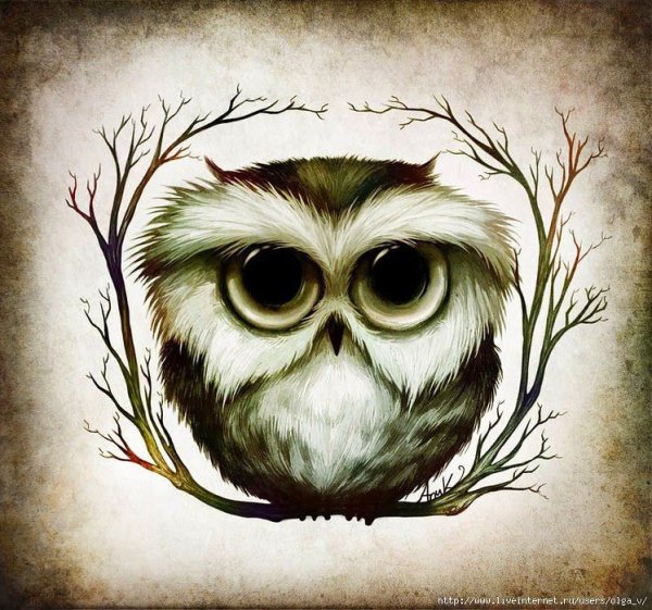Прикольная Сова рисунок