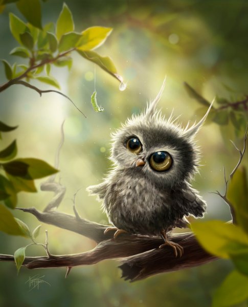 Инга Измайлова SMG