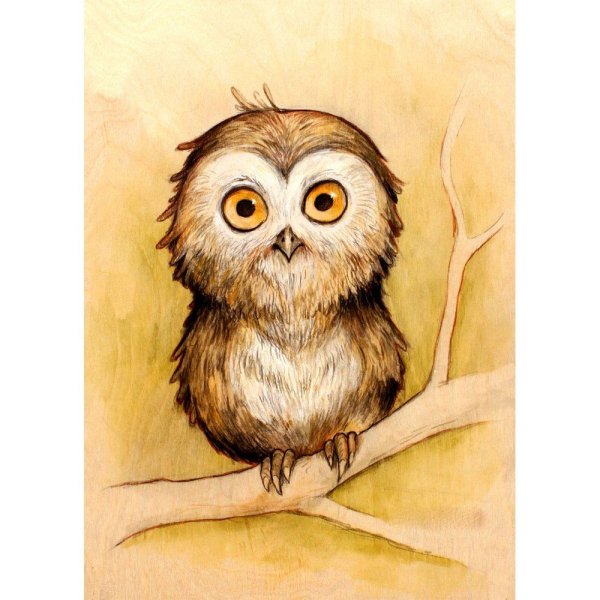 Павел Кульша иллюстратор