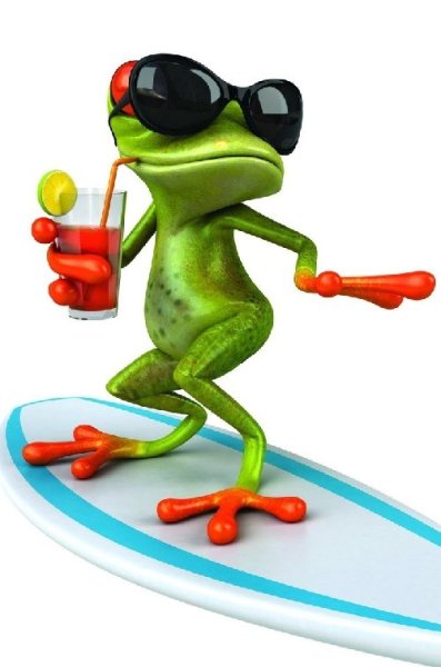 Открытки с лягушками прикольные