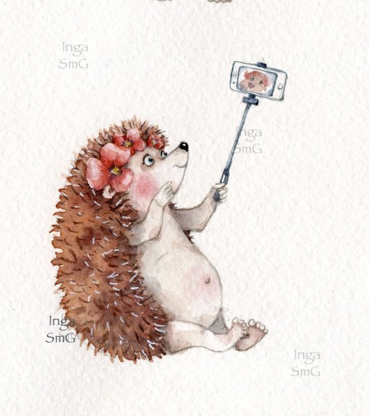 Ёжики Инга Измайлова