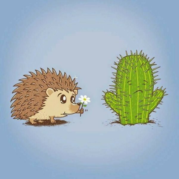 Ежик рисованный прикольный