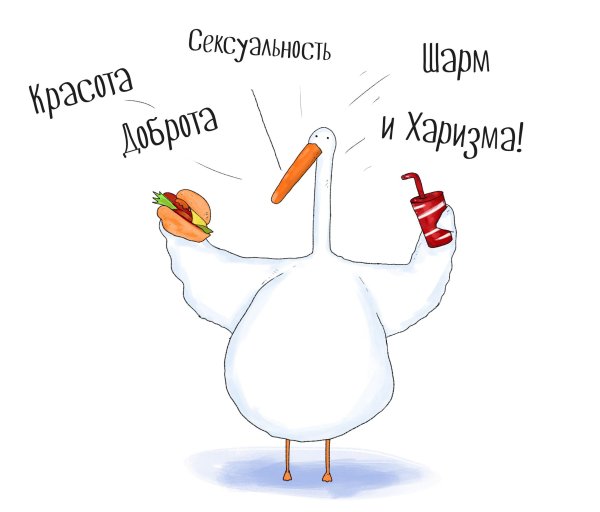 С днем рождения Гусь