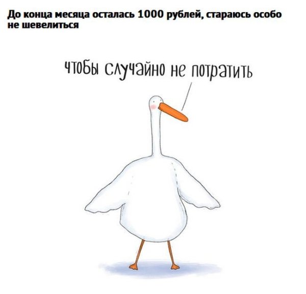 Гусь прикол