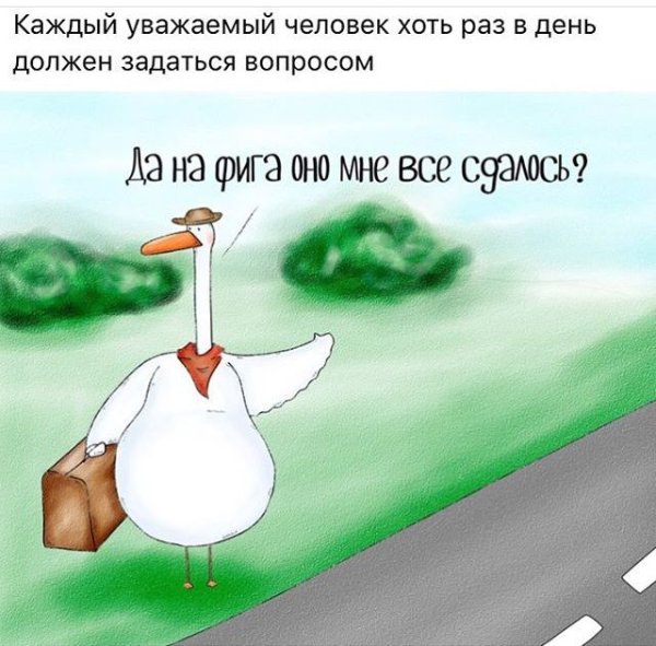 Гусь прикол