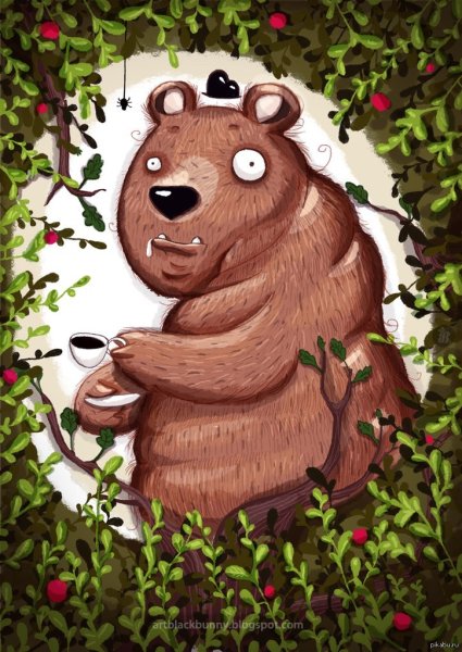 Аватарка медведь