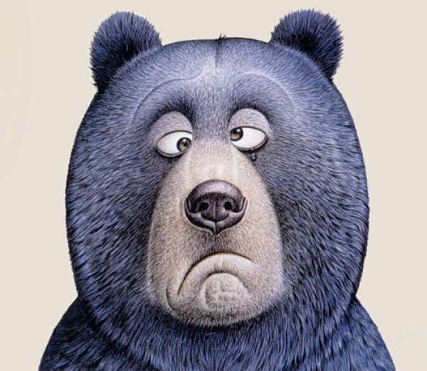 Смешная морда медведя