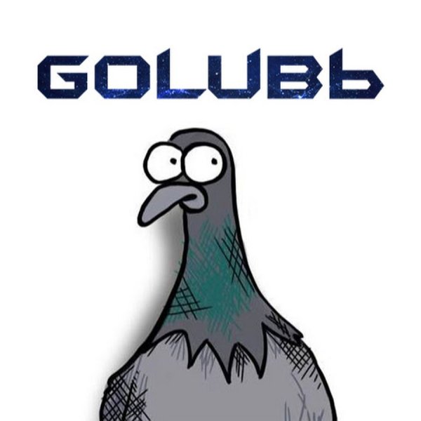 Голубь арт смешной