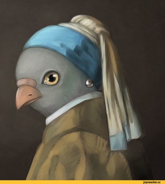 Голубь арт смешной