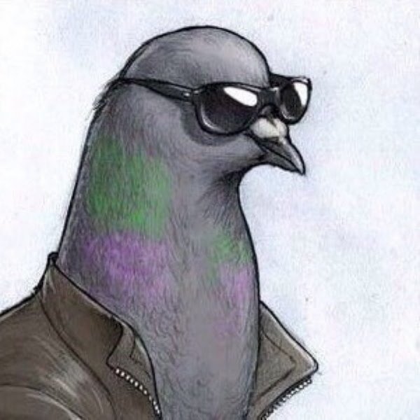 Голубь с очками