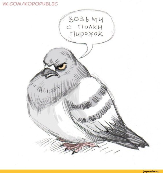 Голубь нарисованный смешной