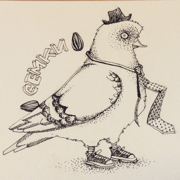 Голубь иллюстратор