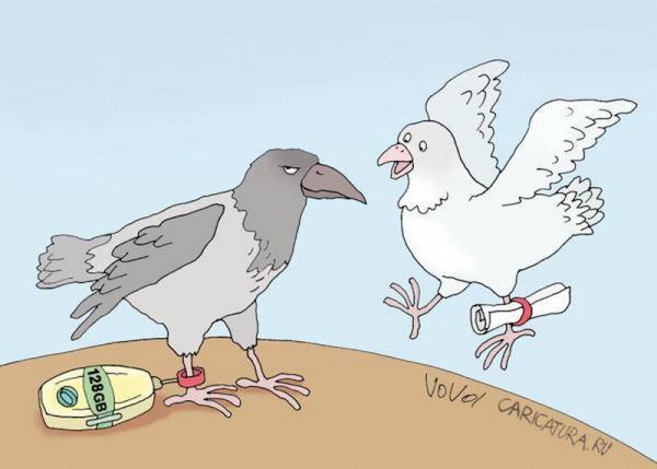 Смешной почтовый голубь