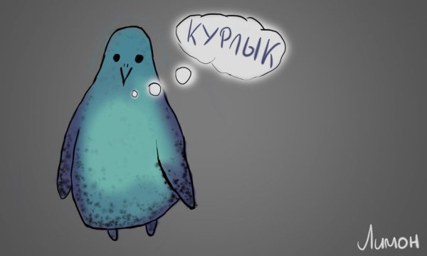 Голубь курлык