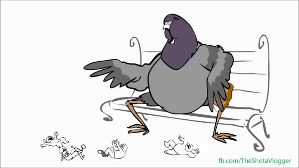 Прикольный голубь рисунок