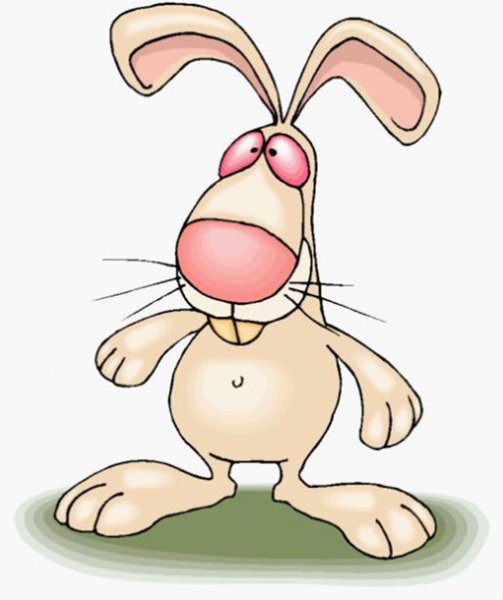 Смешные зайчики