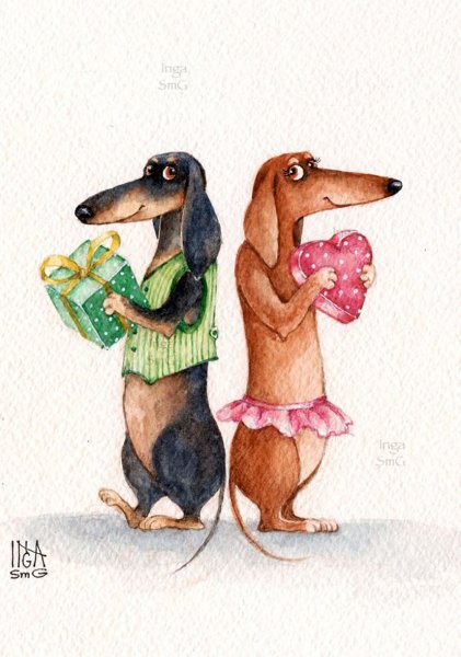 Инга Измайлова таксы