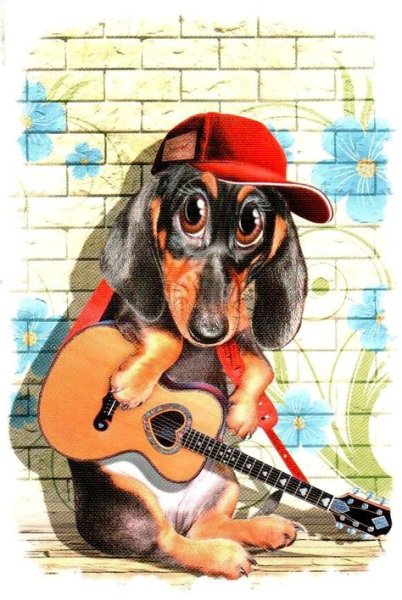 Такса с гитарой