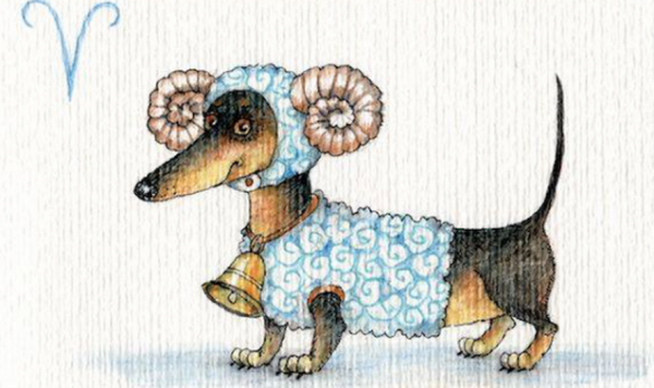 Такса Инга Измайлова знаки зодиака