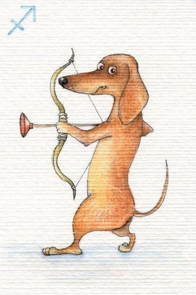 Инга Измайлова иллюстрации таксы