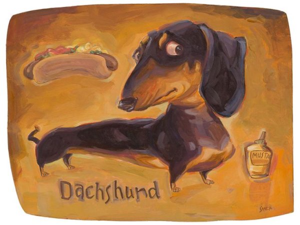 Такса иллюстрация