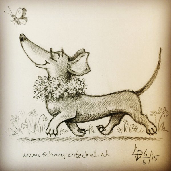 Такса картинки нарисованные смешные