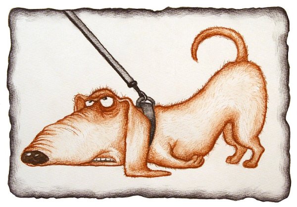 Елена Седова художник иллюстратор