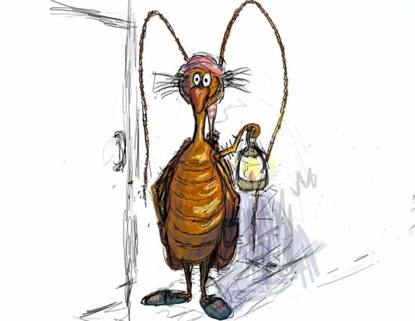 Два таракана