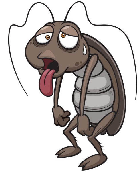 Таракан мультяшный