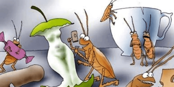 Тараканы в голове