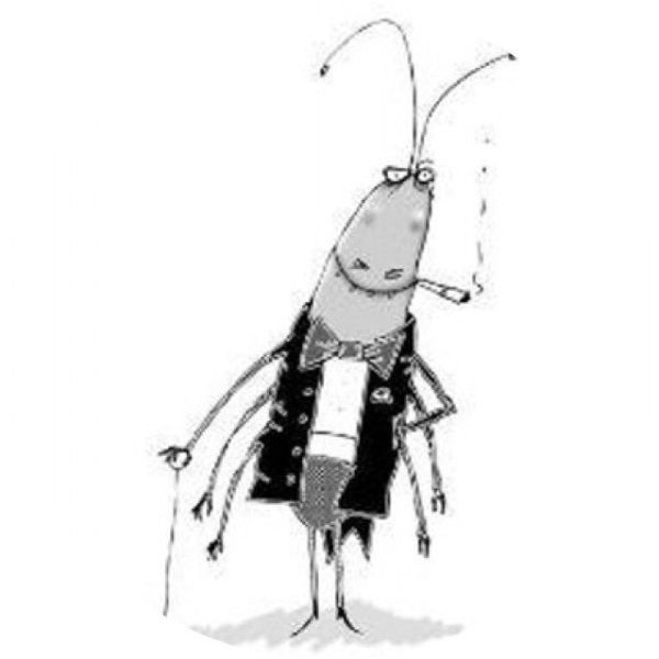 Смешной таракан