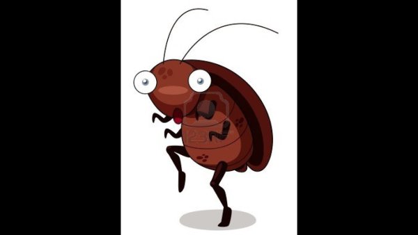 Смешной таракан