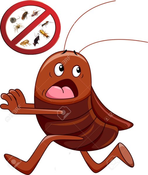 Испуганный таракан