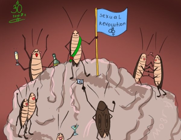 Тараканы в голове