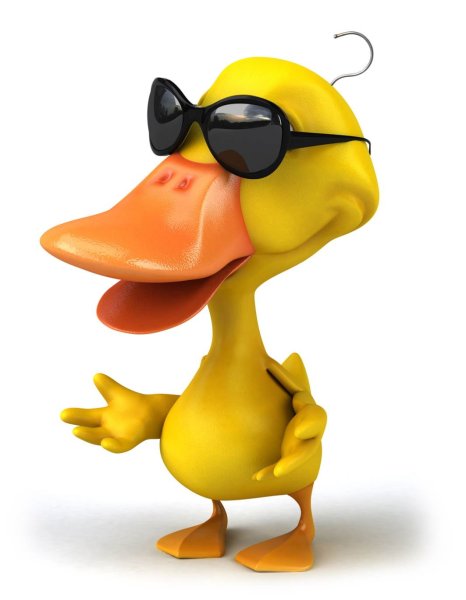 Прикольная уточка