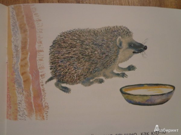 Евгений Чарушин еж