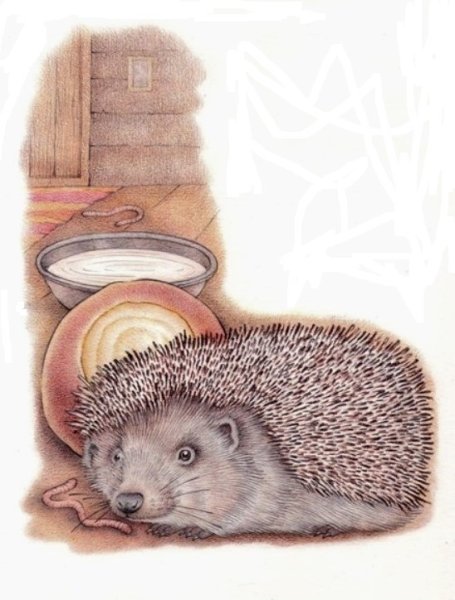 Пришвин еж иллюстрации