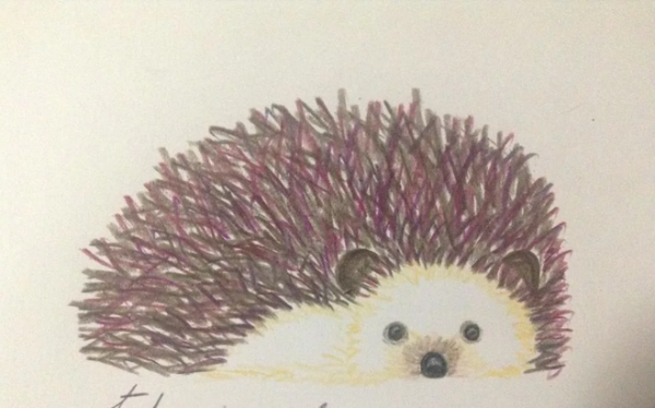 Чарушин Ежик